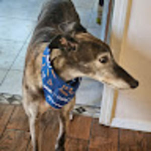 Meet your Posher, Kevin